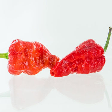 Red Naga Brain Pepper Seeds - The Pepper Pantry (Formerly Marie Sharp's)
